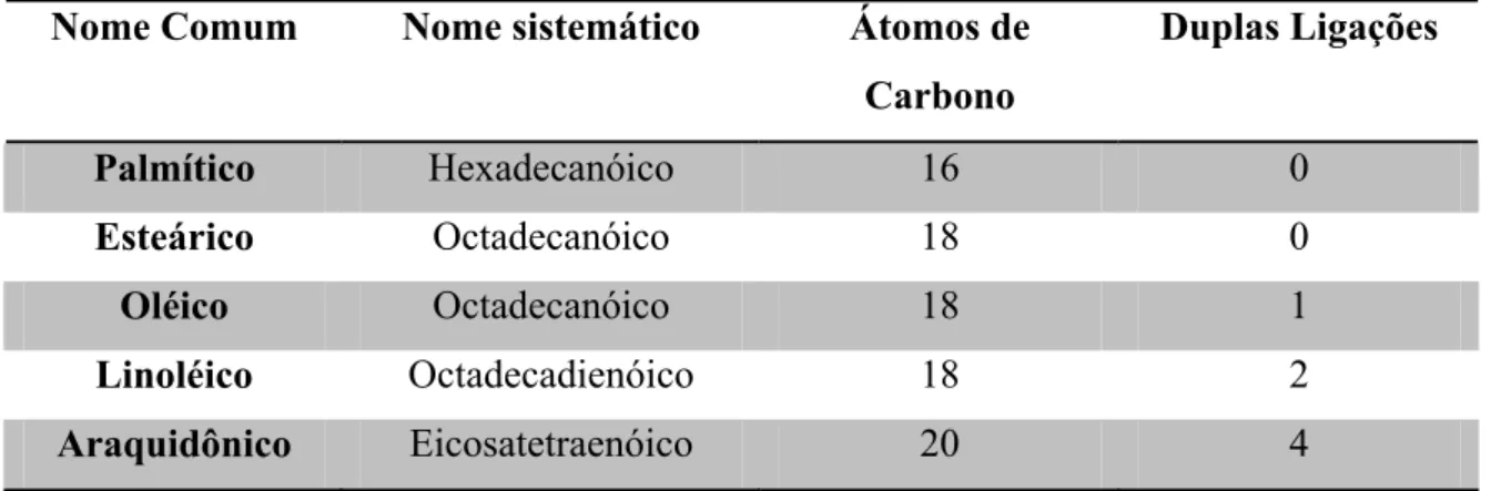 Tabela 01. Características de alguns dos principais ácidos graxos encontrados em   tecidos de mamíferos 