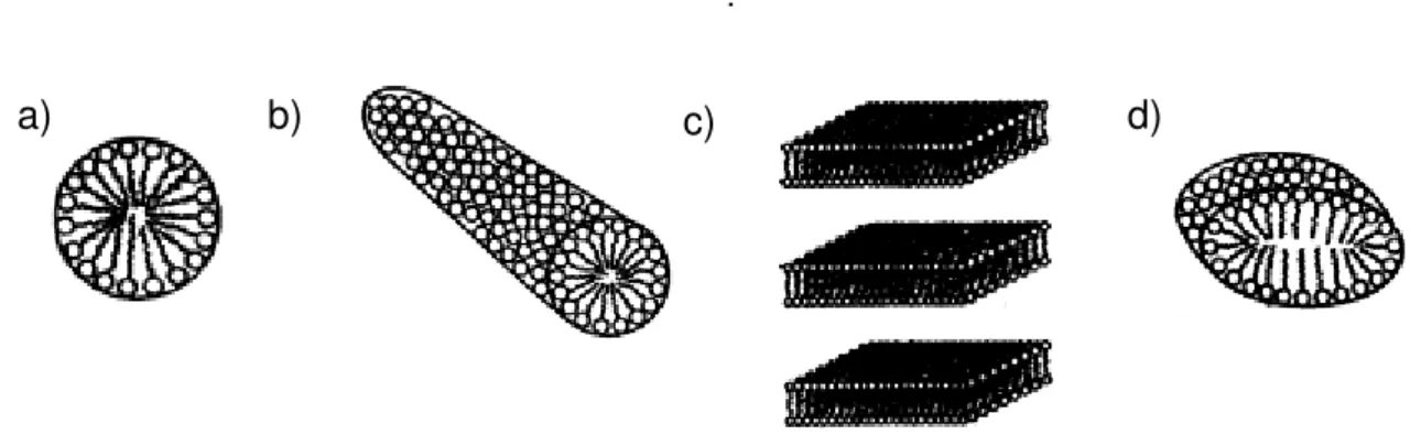 Figura 4- Agregação das moléculas. (a) Esférica, (b) Cilíndrica, (c) Lamelar e (d) Disco  