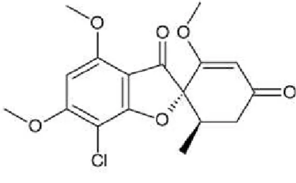 Figura 9- Estrutura química da griseofulvina. 