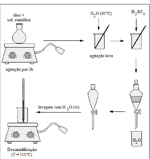 Figura 3.1  aP    Esquema para obtenção de ácidos graxos a partir do óleo de vísceras do peixe  tilápia.