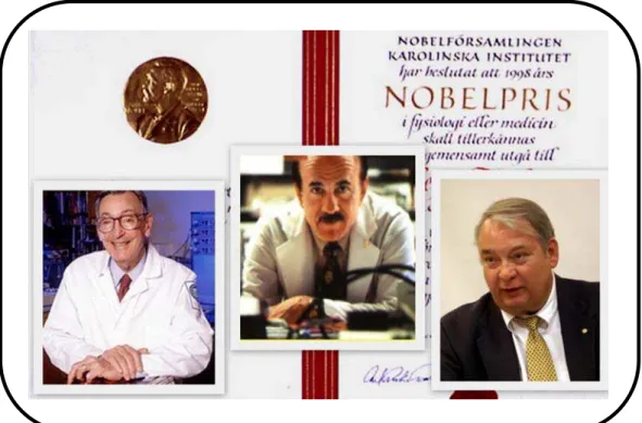 Figura 1. Fotografias dos cientistas ganhadores do Prêmio Nobel de medicina  em 1998, Robert Furchgott, Louis Ignarro e Ferid Murad