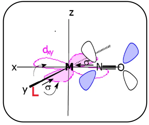 Figura 9. Representação esquemática dos orbitais envolvidos nas interações entre o  centro metálico, o ligante auxiliar e o óxido nítrico