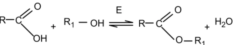 FIGURA 4 – Reação de esterificação enzimática. 