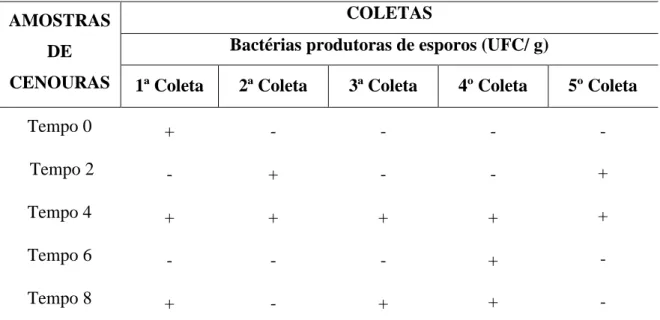 Tabela 6. Avaliação da presença ou ausência de bactérias produtoras de esporos, mesófilas  aeróbias facultativas em cenouras processadas por tecnologia sous vide nos tempos 0, 2, 4, 6 e   8 semanas de armazenamento refrigerado a 3ºC