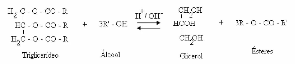 Figura 2.2 – Reação de transesterificação, onde R representa a cadeia carbônica dos ácidos graxos e R’ 