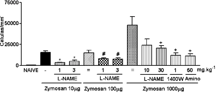 Figura 3- Efeito do pré-tratamento com L-NAME, 1400W ou Aminoguanidina (Amino) sobre o influxo  celular à cavidade articular de ratos na artrite induzida por zymosan (AZy)