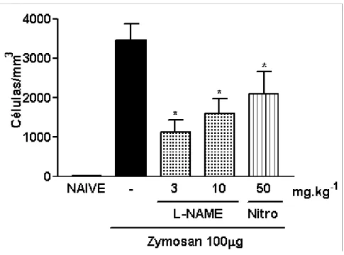 Figura 4- Efeito do pré-tratamento com L-NAME ou Nitro sobre o influxo celular à cavidade articular  de camundongos submetidos à indução da artrite por zymosan (AZy)