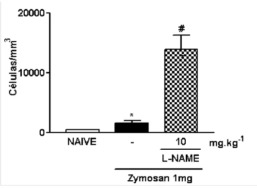 Figura 8- Efeito do pré-tratamento local com L-NAME sobre o influxo celular à cavidade peritoneal de  ratos submetidos à indução da peritonite por zymosan (PZy)