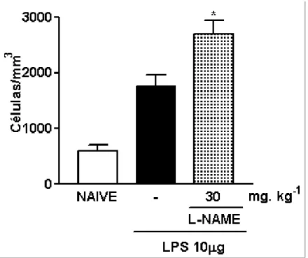 Figura 10- Efeito do pré-tratamento com L-NAME sobre o influxo celular à cavidade peritoneal de ratos  submetidos à indução da peritonite por LPS (PLPS)