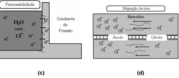 Figura 3.8 : Mecanismos de transporte de íons cloretos no concreto: (a) absorção capilar; 