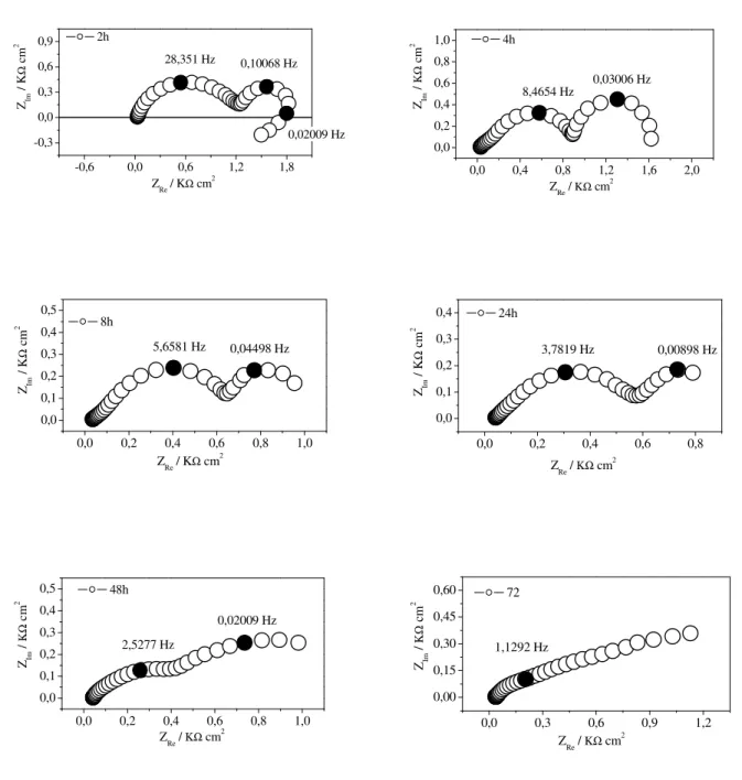 Figura  IV.11.  Diagramas  de  Nyquist  para  diferentes  tempos  de  imersão  do  Zn  em  solução  aquosa de NaCl 0,1 mol dm -3 