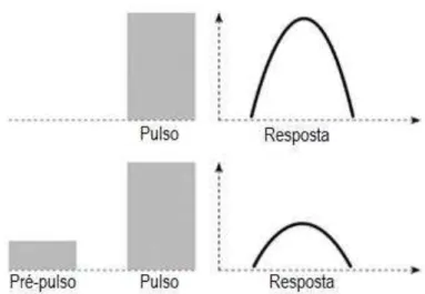 Fig.  11.  Inibição  pré-pulso  (IPP)  é  a  diminuição  da  resposta  de  sobressalto  quando  o  estímulo  de  sobressalto  eliciador, o pulso, é precedido por um estímulo sensorial mais fraco, o pré-pulso (KOHL et al., 2013)