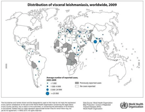 Figura 1  –  Distribuição do número de casos de  leishmaniose visceral entre          2005-2009 