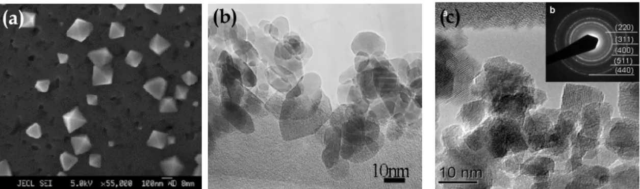 Figura 1.1: Microscopia eletrônica de nanopartículas de: (a) NiO [14-15] , (b) Cr 2 O 3  [13] e (c) NiAl 2 O 4  [16],  todas elas obtidas por gelatina