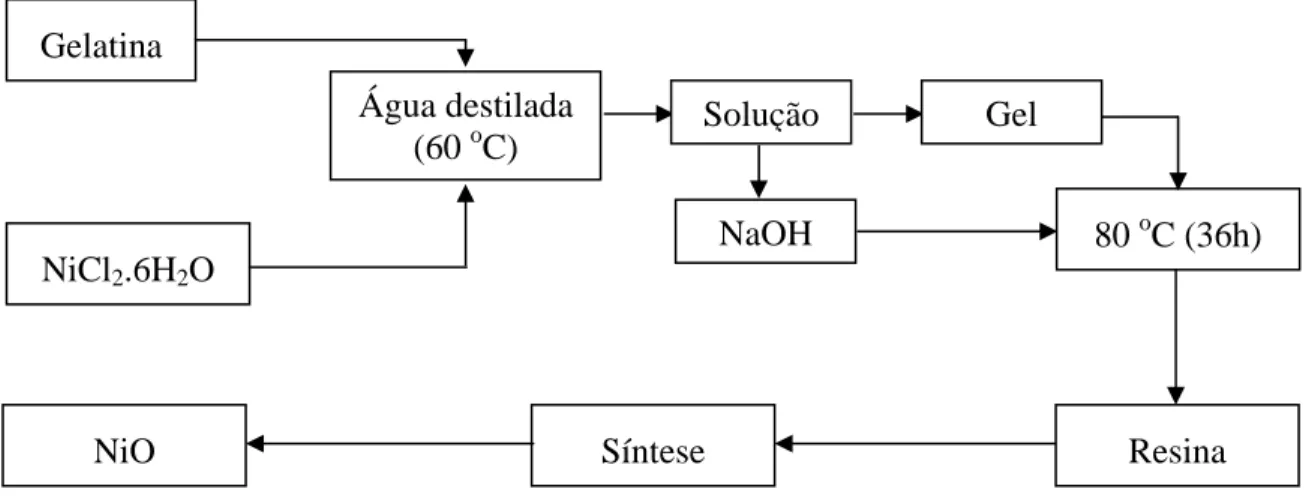 Figura 3.1: Representação esquemática do processo de obtenção das nanopartículas de NiO usando  gelatina