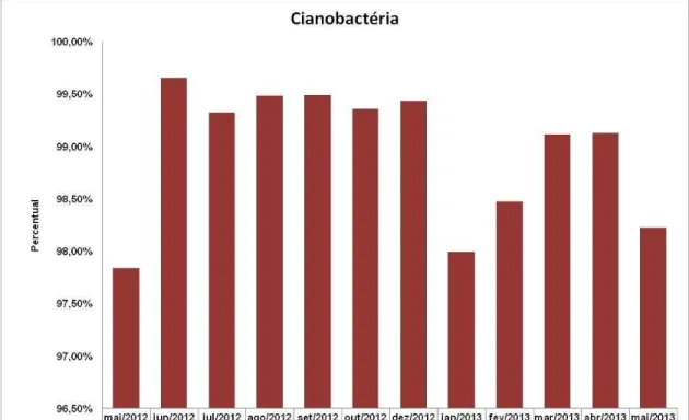 Figura 11 – Abundância relativa da contagem de célula das cianobactérias do açude 