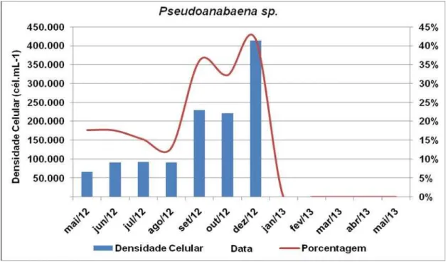 Figura  14  –  Comportamento  quantitativo  da  Pseudoanabaena  sp.  no  açude Acarape  do  Meio no período de maio/2012 a maio/2013
