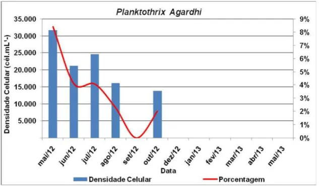 Figura  17  –  Comportamento  quantitativo  da  Planktothrix  agardhii  no  açude  Acarape  do  Meio no período de maio/2012 a maio/2013