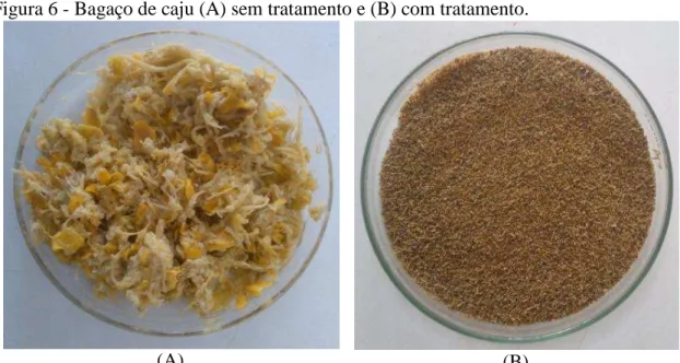 Figura 6 - Bagaço de caju (A) sem tratamento e (B) com tratamento. 