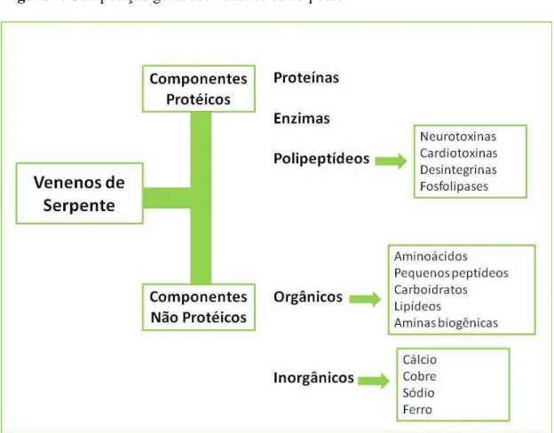 Figura 7. Composição geral dos venenos de serpente. 