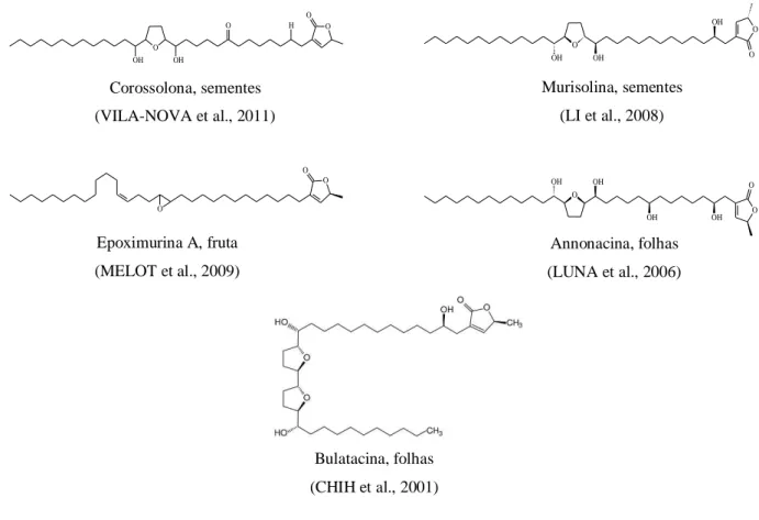 Figura 6. Estruturas químicas de acetogeninas citotóxicas isoladas de  Annona muricata  L