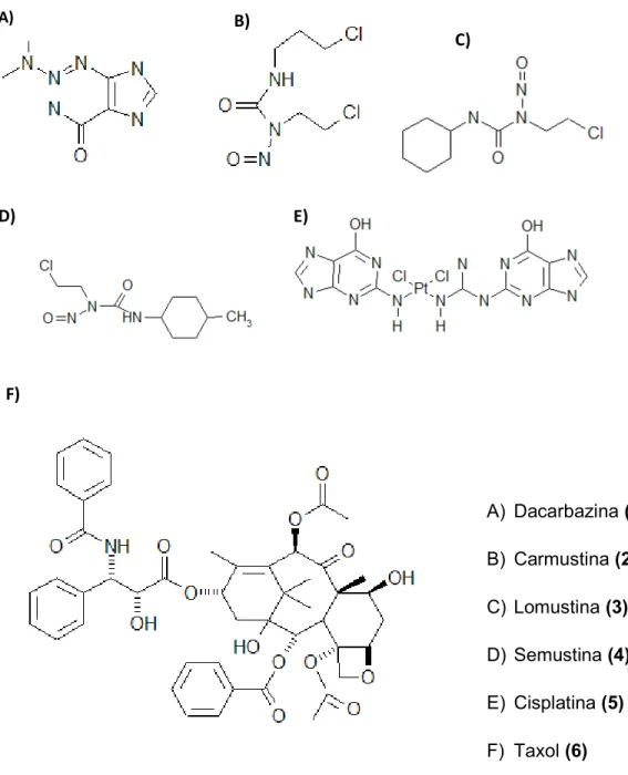 Figura 1. Estrutura química de alguns  quimioterápicos.  A)  Dacarbazina (1)       B)  Carmustina (2) C)  Lomustina (3) D)  Semustina (4) E)  Cisplatina (5) F)  Taxol (6) A) B) D) C) E) F) 