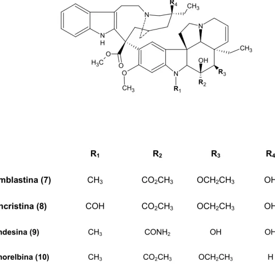 Figura 7. Estrutura química da vimblastina (7), vincristina (8), vindesina (9)  e vinorelbina (10)