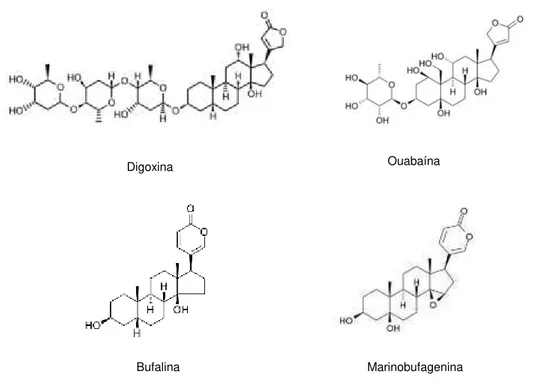 Figura 6. Estruturas moleculares de cardenolídeos (digoxina e ouabaína) e bufadienolídeos (bufalina  e marinobufagenina)
