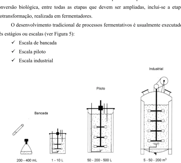 Figura 5 – Desenho esquemático da ampliação de escala de processos fermentativos (SCHMIDELL et al.,  2001)