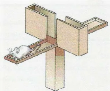 Figura 5 - Ilustração do instrumento utilizado no teste Labirinto em Cruz Elevado 