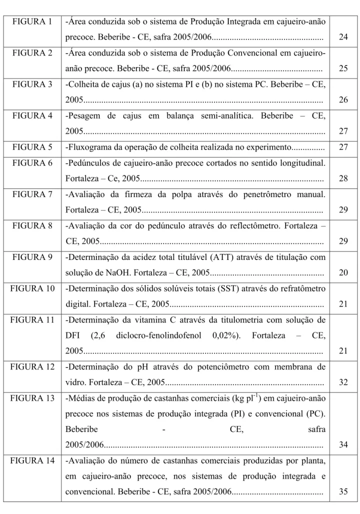 FIGURA 1   -Área conduzida sob o sistema de Produção Integrada em cajueiro-anão  precoce