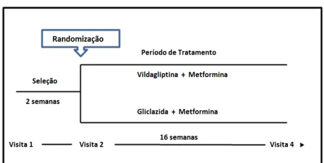 Figura 1  –  Detalhamento da estrutura do estudo 