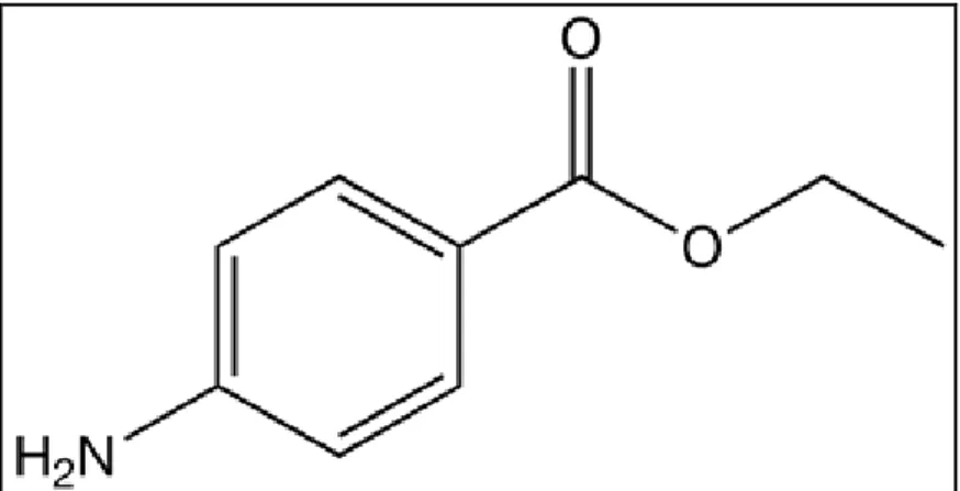 Figura 7: Fórmula estrutura da base anestésica benzocaína.