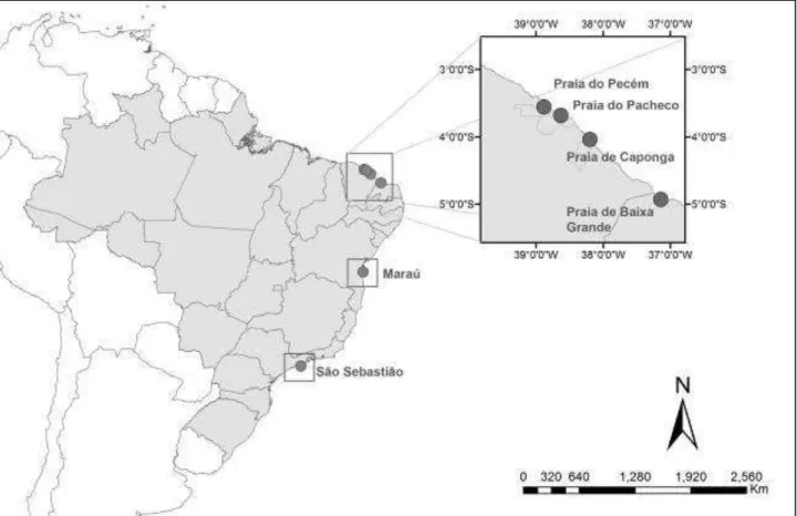 Figura 1  –  Distribuição geográfica de Marionia limceana. 
