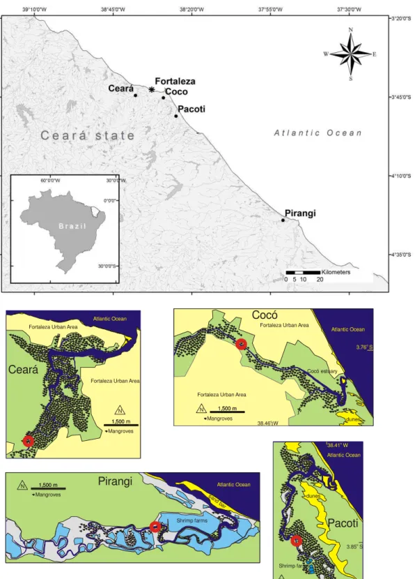 Figura  7  -  Localização  dos  estuários  estudados  Ceará,  Coco,  Pacoti  e  Pirangi  em  relação  a  capital  Fortaleza, Ceará e imagens do perfil de cada estação de coleta em relação a foz do rio