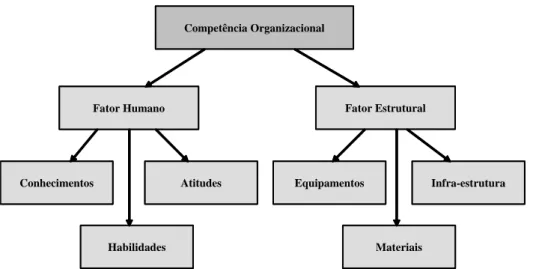 Figura 8 - Competência organizacional e suas dimensões  Fonte: Silveira (2004). 