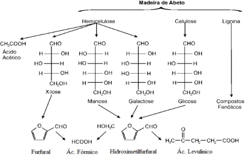 Figura 8: Esquema da hidrólise de materiais lignocelulósicos e degradação dos açúcares