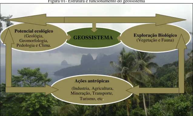 Figura 01- Estrutura e funcionamento do geossistema 