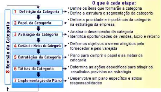 Figura 7: Quais são as etapas do gerenciamento por categorias 