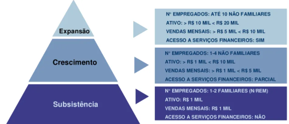 Figura 5  Pirâmide Empresarial do Setor Informal utilizada pelo Programa Crediamigo  Fonte: Banco do Nordeste/Crediamigo 