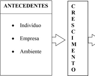 Figura 1. Processo de crescimento de pequenas empresas.