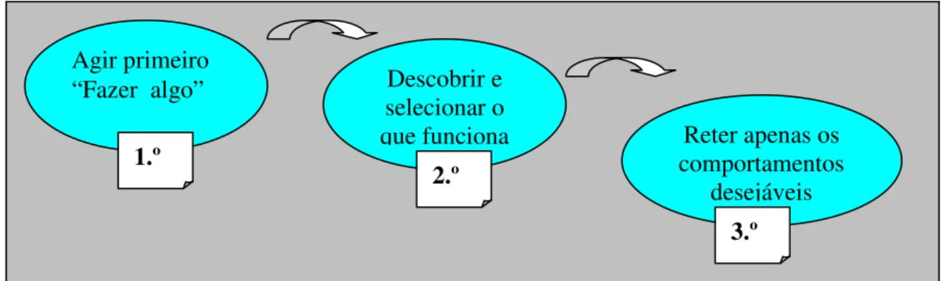 Figura 03: Modelo ecológico de decretação, seleção e retenção de gerência. 