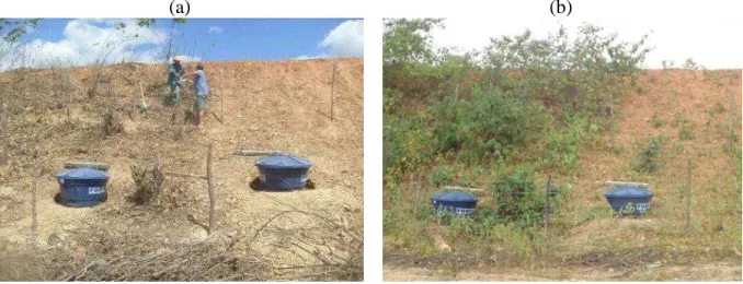 Figura 6 – Talude viário e parcela com e sem vegetação (a) durante instalação das armadilhas  para captura de sedimentos em setembro de 2012; (b) final do período de chuvas de 2013 em  que se observa recomposição da vegetação na parcela sem vegetação 