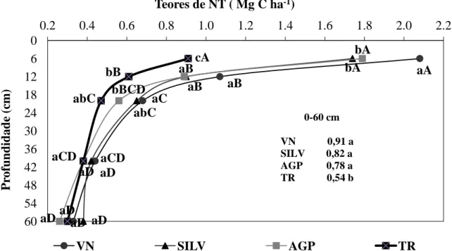 Figura 6  –  Teores de nitrogênio total (NT), em g kg -1 , em Luvissolo Crômico Órtico típico sob vegetação natural  (VN), sistema silvipastoril (SILV), sistema agrossilvipastoril (AGP) e cultivo tradicional (TR) após treze anos de  uso em Sobral (CE)
