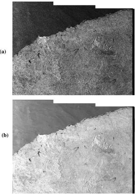 Figura 9. (a) Imagem original. (b) Imagem após redução de speckle. 