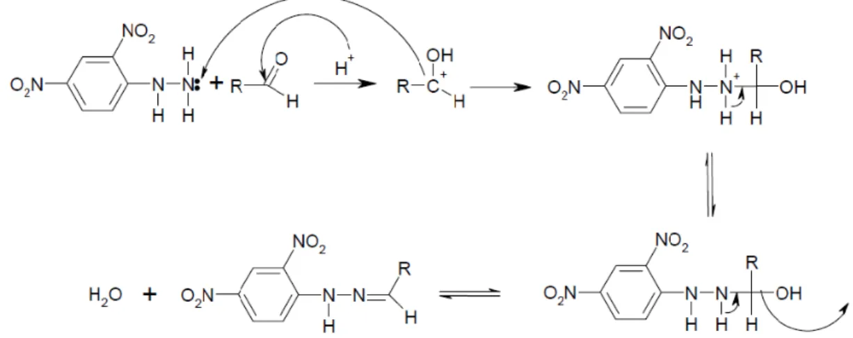 Figura  18.  Reação  de  derivatização  entre  2,4-DNPH i   e  compostos  carbonílicos  para a formação das carbonil-hidrazonas