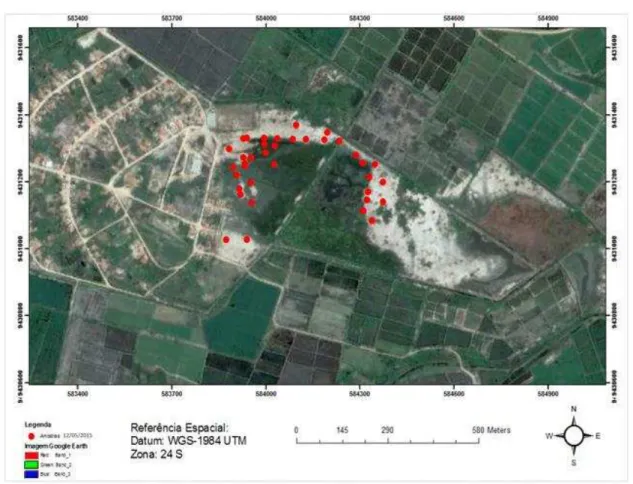 Figura  3  –  Pontos  amostrais  coletados  no  dia  12/05/2015,  imagem  obtida  pela  plataforma Google Earth 