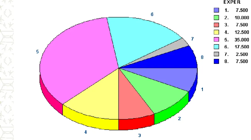 GRÁFICO DE SETORES