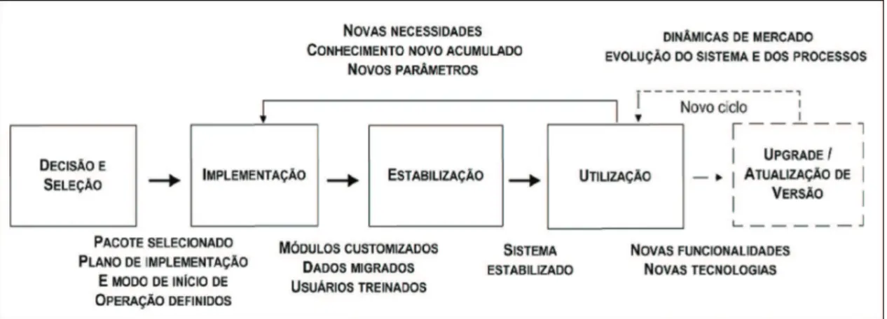 Figura 1. Sobrevida dos Sistemas ERPs. Adaptado de Souza e Zwicker (2001).