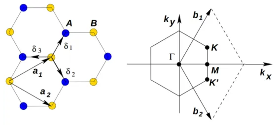 Figura 9: Esquerda: Estrutura cristalina do grafeno composta de duas redes triangulares sobre- sobre-postas ( ~a 1 e ~a 2 s˜ao os vetores unit´arios, e δ i , com i=1,2,3, s˜ao os vetores de primeiros vizinhos).